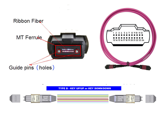 100G 24 MTP MPOの光ファイバケーブルの3MのOM4 24中心のマゼンタのタイプB USCONECをパッチ・コード